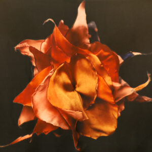FLOR II