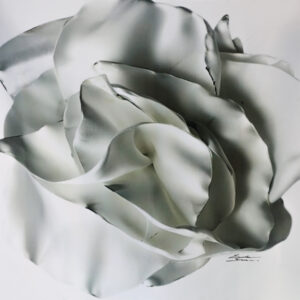 FLOR V
