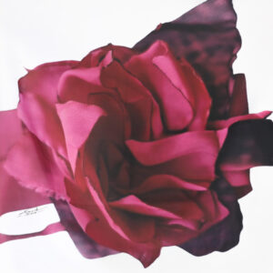 FLOR VI