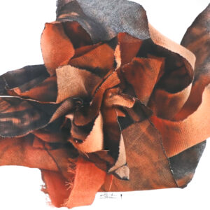 FLOR IX