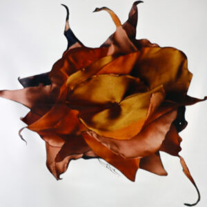 FLOR XI