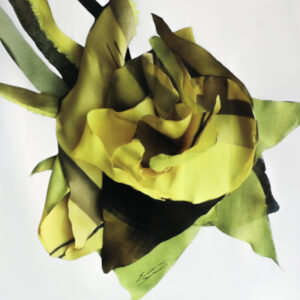 FLOR XIII